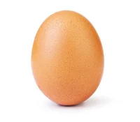 A transfem egg 