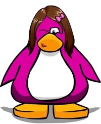 Girl Penguin N2