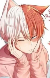 Todoroki gato