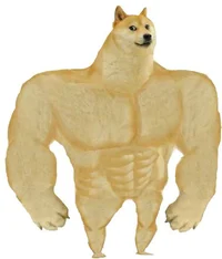 DogChad