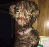 Cursed Beast