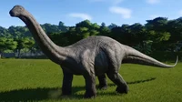 JW Apatosaurus