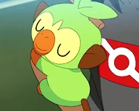 Grookey