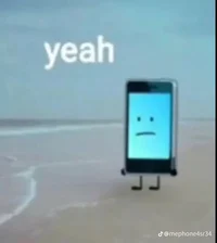 mephone4 - ii