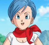 Bulma Brief