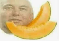 Melon musk