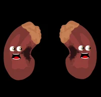 Kidneys