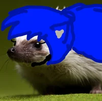 Fraya the Hedgehog