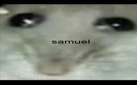 Sammuel
