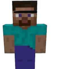 Werid steve