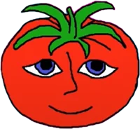 Mr TomatoS