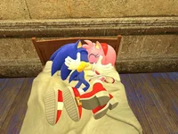 SonAmy Gmod version