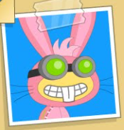 Dr Hare