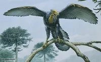 Archaeopteryx