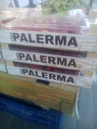 Palerma 