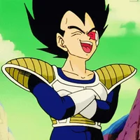 DBZ Vegeta