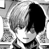 Shoto Todoroki