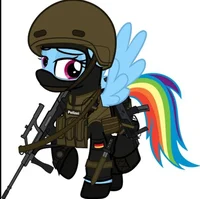 SWAT Rainbow Dash