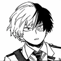 Shoto Todoroki
