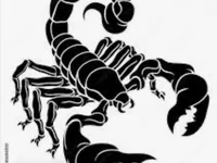 Scorpio