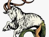 Capricorn 