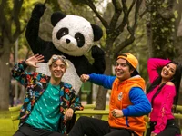 Los aventureso peela