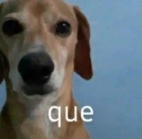 Grammarly but footba