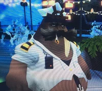 The Captain