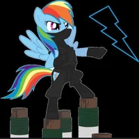 Ninja Rainbow Dash