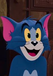 Tom cat