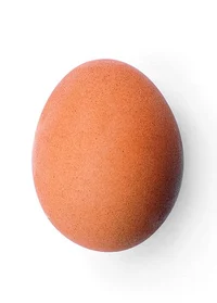 chicken egg