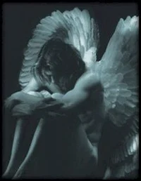 The Fallen Angel