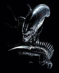 the xenomorph 