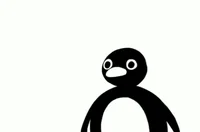 Pingu AKA Noot Noot