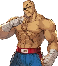 Sagat