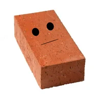 The Brick