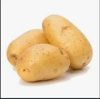 Potato Family 