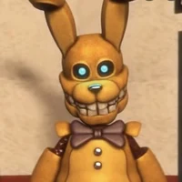 SpringBonnie-ITP
