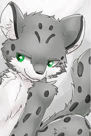 snow leopard