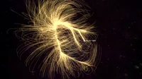 The Great Attractor