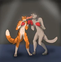 Cat Boxing RPG
