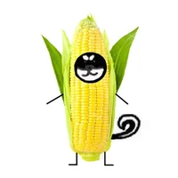 Raccorn