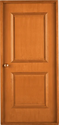 The door