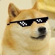 coolDogeboi