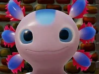 Axo