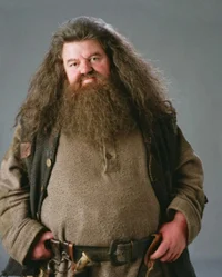Rybeus Hagrid