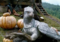 Buckbeak