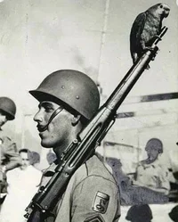 A brazillian soldier