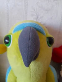 pavel Grinshimbambel