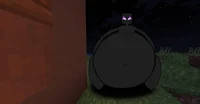 EnderWoman 